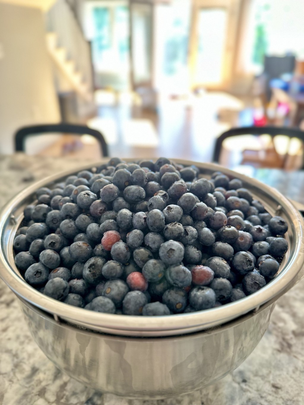 How to Dehydrate&nbsp;Blueberries
