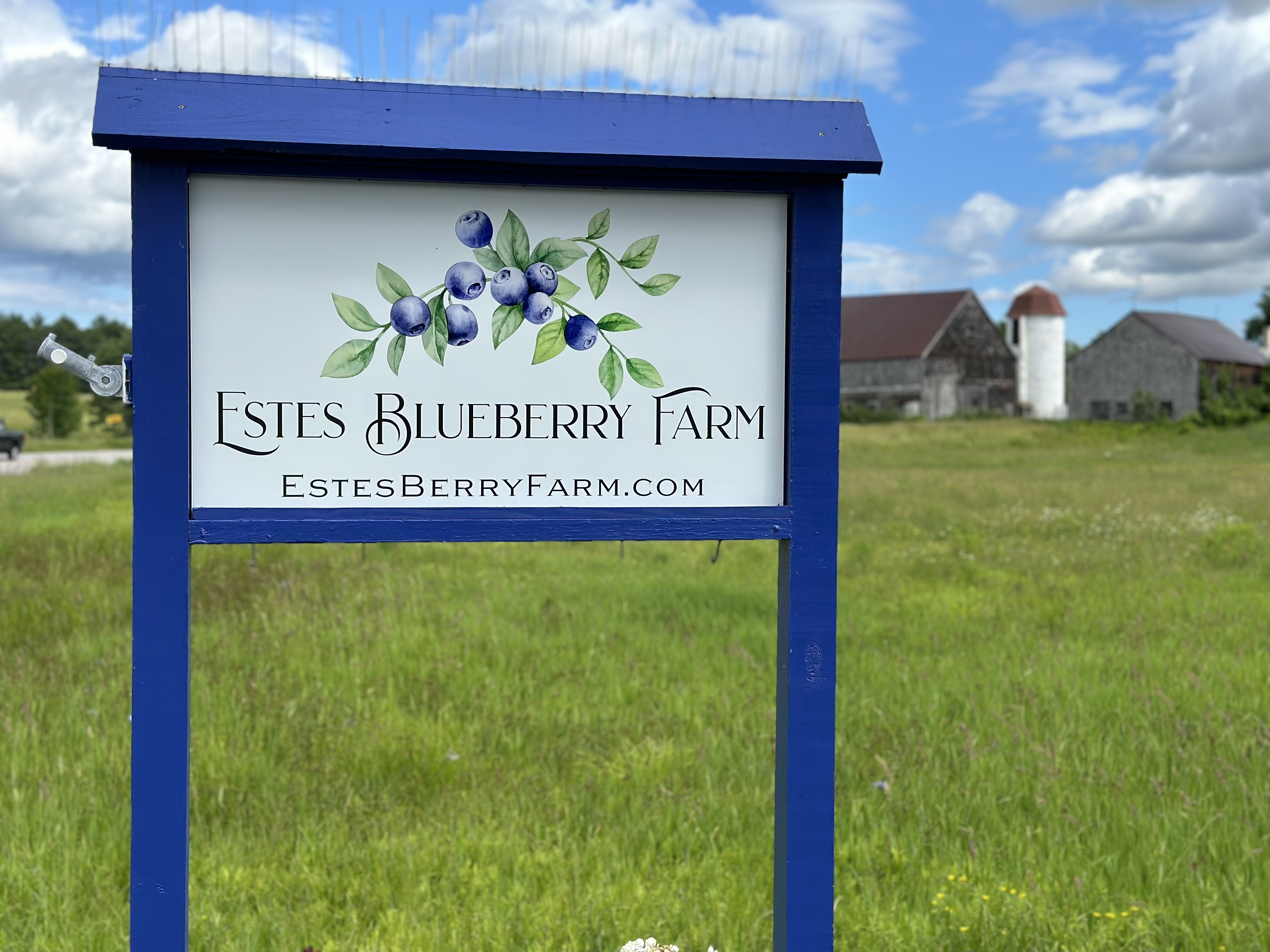 A sign with blueberries on it and the name Estes Blueberry Farm. A blueberry picking farm in Southern Maine.